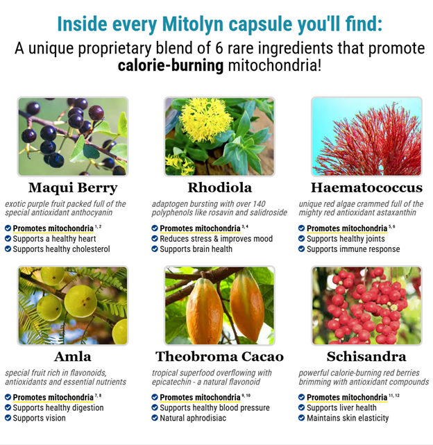 does mitolyn really work for belly fat