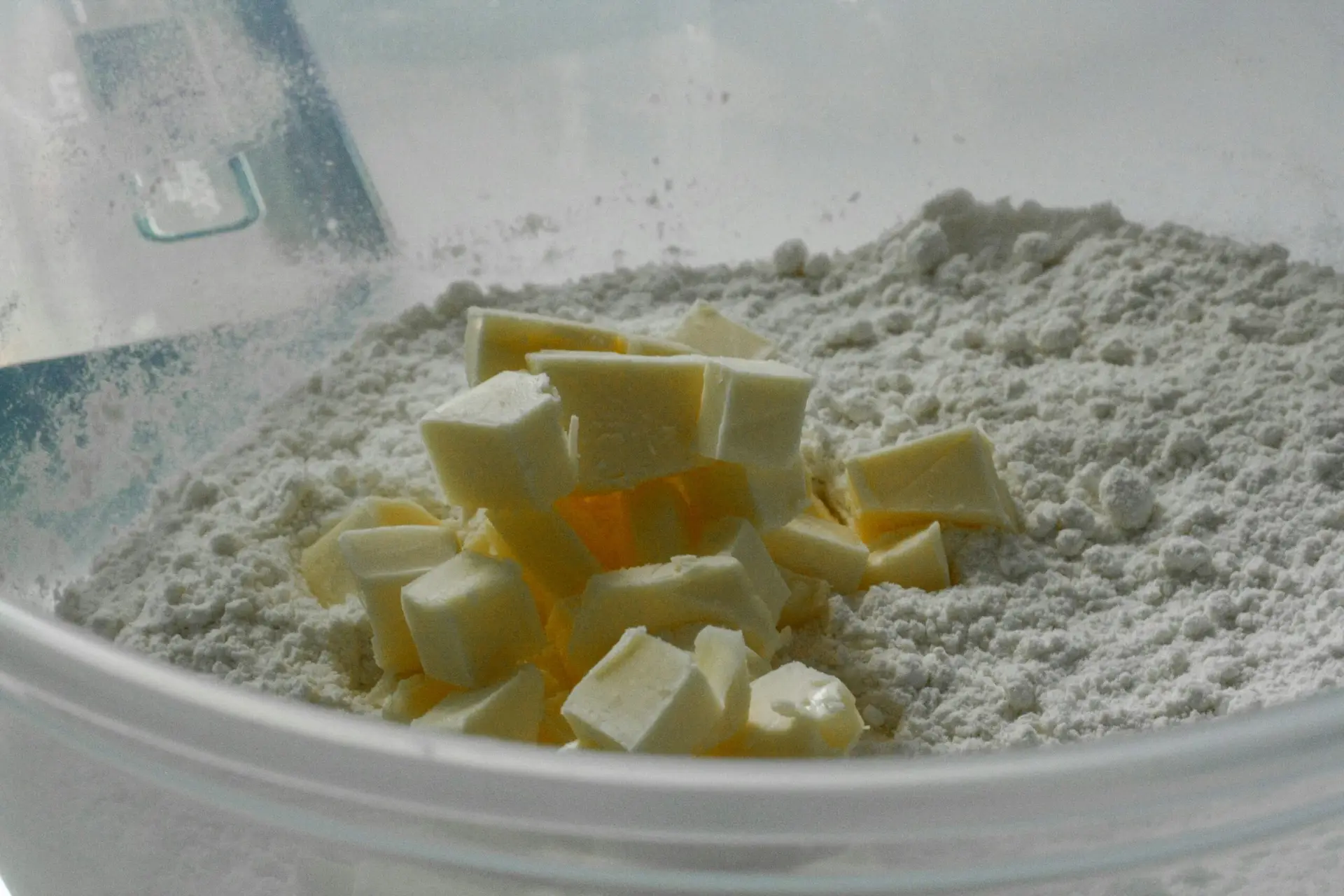 Best Protein Powders for Muscle Gain and Fat Loss